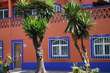 Image showing Coyoacan, Mexico City