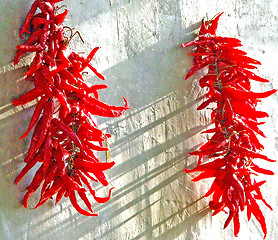 Image showing chilies drying at a wall