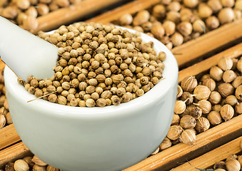 Image showing Coriander