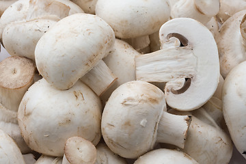 Image showing Champignon mushrooms