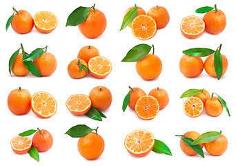 Image showing Mandarins