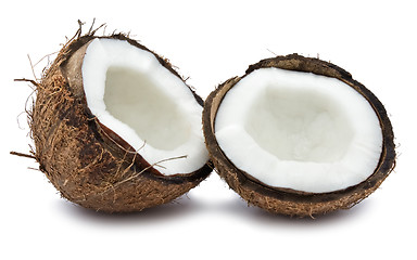 Image showing Coconut