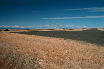 Image showing Ploweds field in Montana