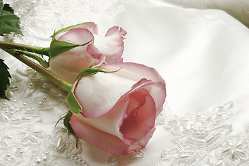 Image showing roses and gown