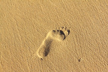 Image showing Footprints