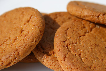 Image showing ginger biscuits
