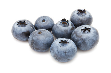 Image showing Blueberry