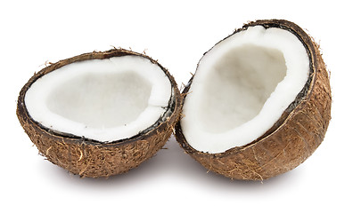 Image showing Coconut