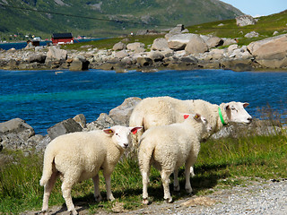 Image showing Norway landscape