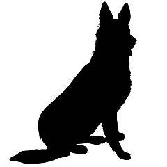 Image showing German Shepherd Silhouette