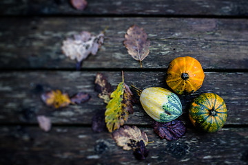 Image showing Autumn pumpkins