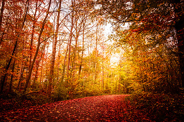 Image showing Autumn landscape