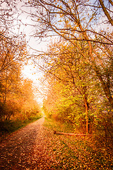 Image showing Autumn landscape