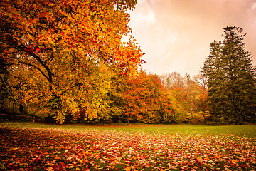 Image showing Autumn landscape