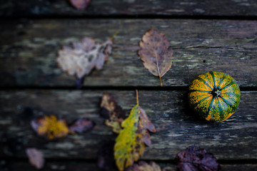 Image showing Autumn pumpkin