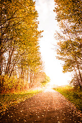 Image showing Autumn landscape