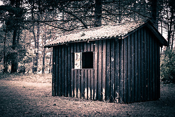 Image showing Spooky cabin