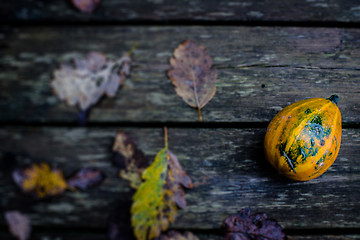 Image showing Autumn pumpkin