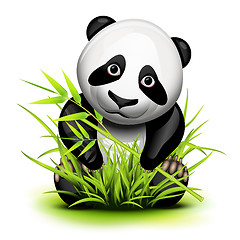 Image showing Little panda