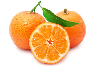 Image showing Tangerines