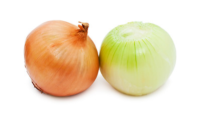 Image showing Onion