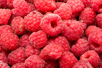 Image showing Raspberries