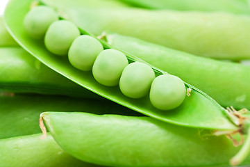 Image showing Pea