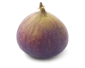 Image showing Fig