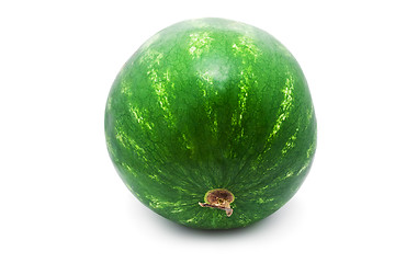 Image showing Watermelon