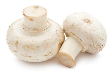 Image showing Champignon mushrooms