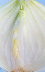 Image showing White onion