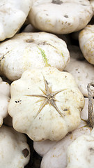 Image showing Pattypan or white squash