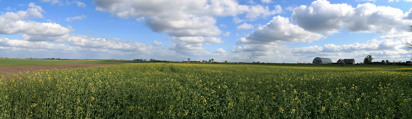 Image showing Spring panorama