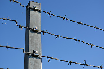 Image showing Barbed wire