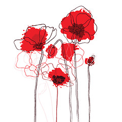 Image showing Red poppies on a white background