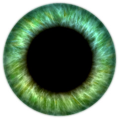 Image showing green iris