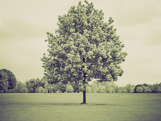 Image showing Vintage sepia Urban Park