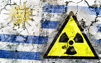 Image showing Old cracked wall with radiation warning sign and painted flag