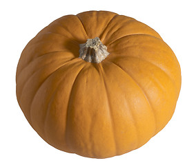 Image showing pumpkin