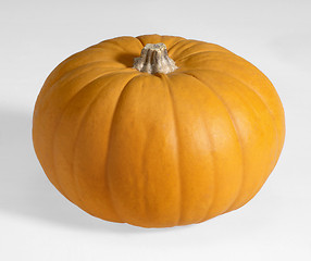 Image showing orange pumpkin