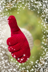 Image showing Woman Wearing Red Mittens Holding Out Thumbs Up Hand Sign