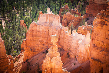 Image showing Bryce Canyon