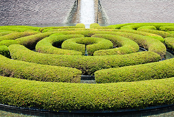 Image showing Garden Maze