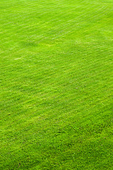 Image showing trimmed green lawn, a background