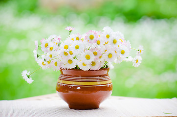Image showing A bouquet of daisies in a pot at the table 