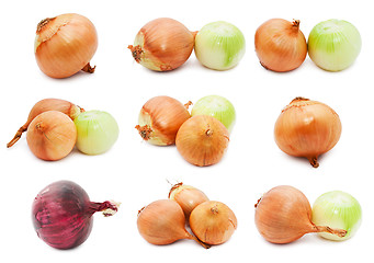 Image showing Onion