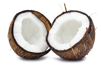 Image showing Coconut