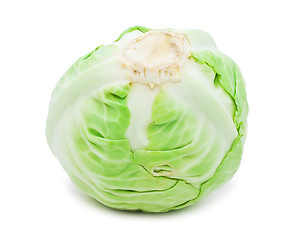 Image showing Cabbage