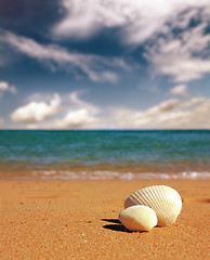 Image showing seashells on beach - vintage retro style