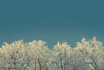 Image showing ice winter woods under sky - vintage retro style